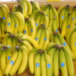 Çfarë i Ndodh Organizmit Nëse Hani Dy Banane Në Ditë