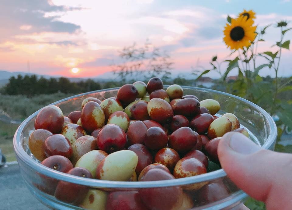 Po vjen sezoni i hideve ose kimçave, mësoni vlerat e tyre ushqyese!