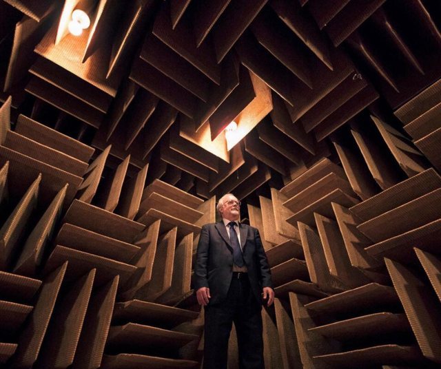 Askush nuk ka qëndruar më shumë se 55 minuta në dhomën më të qetë në botë