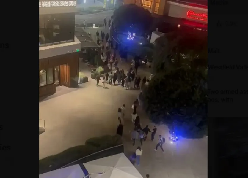 3 të plagosur gjatë fluksit të Black Friday në Kaliforni shiko video