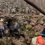 Shkencëtarët zbulojnë fosilin e gjarprit të gjatë 15 metra në Indi