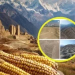 Misteri i vrimave të rreshtuara në Peru, arkeologët thonë se tash e dinë kush i bëri