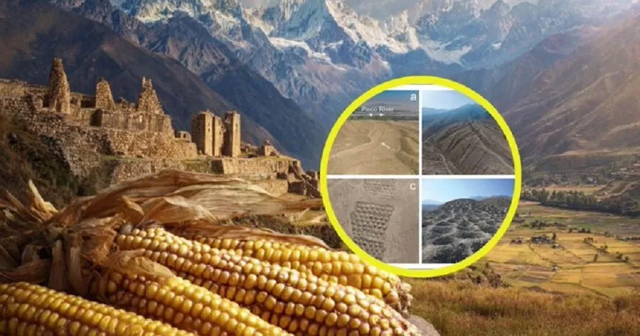 Misteri i vrimave të rreshtuara në Peru, arkeologët thonë se tash e dinë kush i bëri
