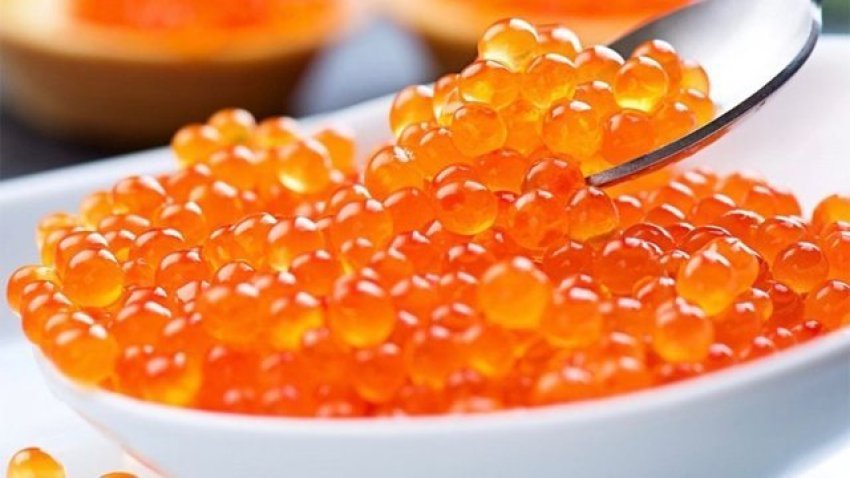 Vezët e peshkut, burimi natyral i shëndetit të mirë