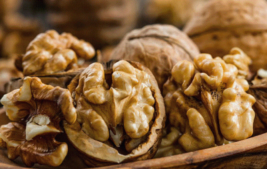 Arrat një prej burimeve më të vlefshme të ushqyesve natyralë