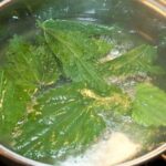 Hithra është veçanërisht e pasur me kalcium dhe magnez