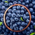 Vetitë shëruese të boronicave