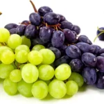 Rrushi, sekreti i energjisë dhe rinisë që vjen nga natyra