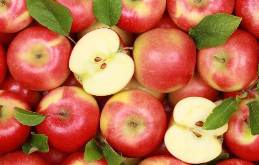 Kur është momenti më i përshtatshëm për të konsumuar mollë gjatë ditës