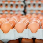 Vezët dhe zemra: A janë ato miq apo armiq të shëndetit tuaj?