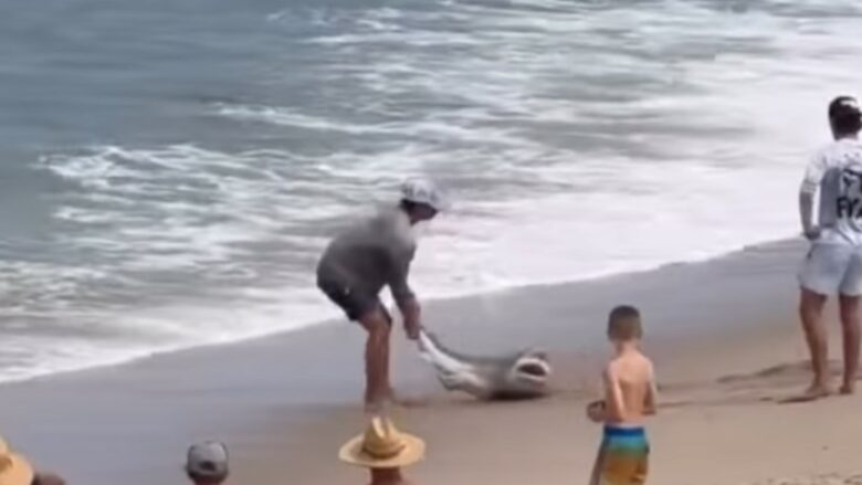Burri nga SHBA kapi një peshkaqen dhe tentoi ta rikthej në ujë – e kafshon derisa po e largonte nga rëra (VIDEO)