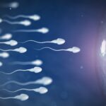 Skandal mjekësor global: Sperma e një donatori me gjen kanceri solli në jetë rreth 200 fëmijë