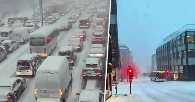 Acari polar përfshin SHBA-të