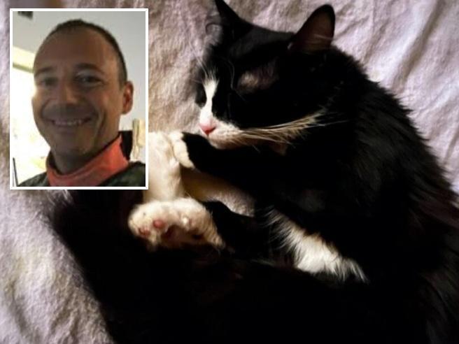 Kuroi macen në spitalin ku punonte, radiologu italian nën akuzë