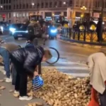 Fermerët protestojnë, qytetarët mbledhin patatet – skena të pazakonta në Bruksel (Video)
