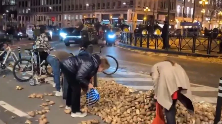 Fermerët protestojnë, qytetarët mbledhin patatet – skena të pazakonta në Bruksel (Video)
