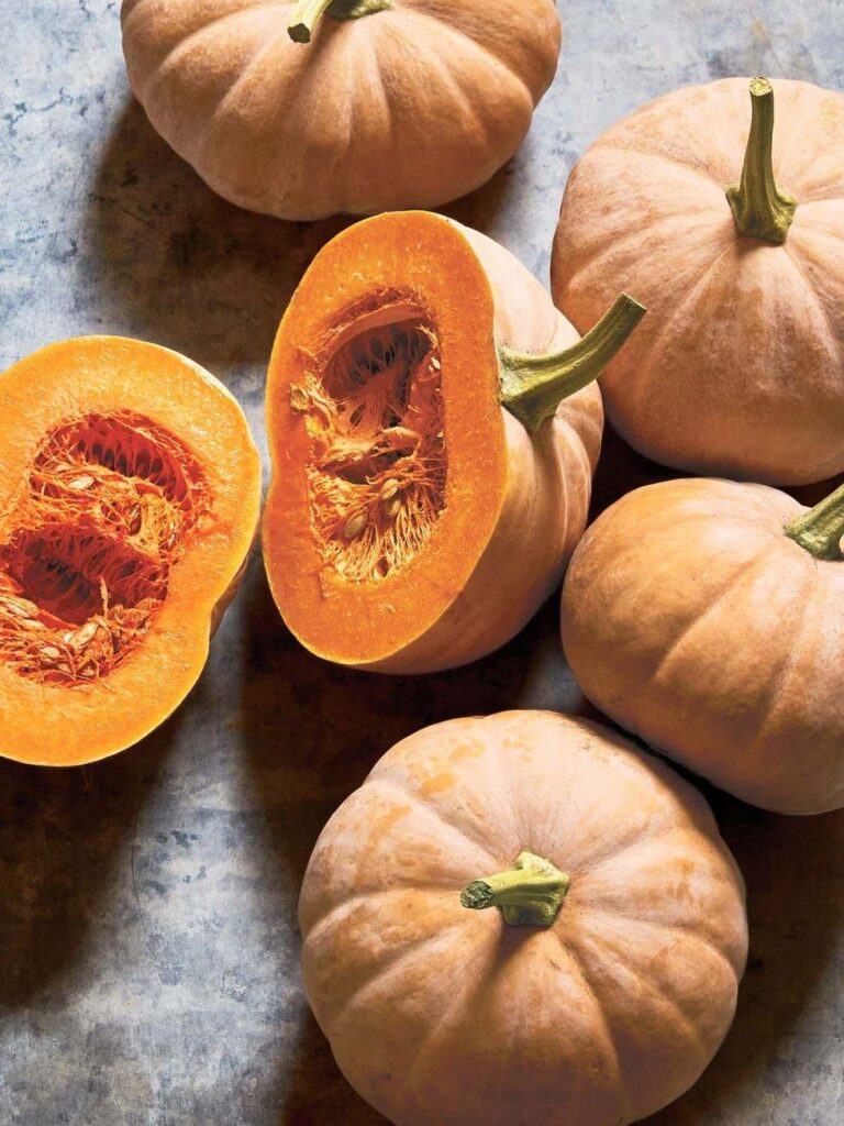 Kungulli, ‘bomba e portokalltë’ për shëndetin, Altin Joka: Lufto sëmundjet me zero lekë