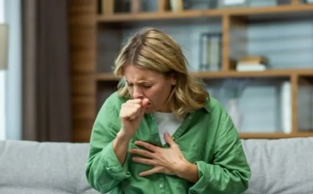 Çokollata kundër kollës: Mit popullor apo fakt mjekësor