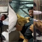 Pamje të rënda: U përpoq të bënte një “selfie” me bishën, luani sulmon keq një burrë në Pakistan! (VIDEO)