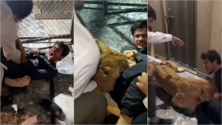 Pamje të rënda: U përpoq të bënte një “selfie” me bishën, luani sulmon keq një burrë në Pakistan! (VIDEO)