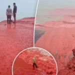 Uji bëhet i kuq si gjaku – plazhi që po trondit botën