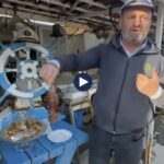 Karaburuni nën kërcënim ekologjik – rikthimi i peshkut luan